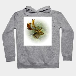 Fallow deer Hoodie